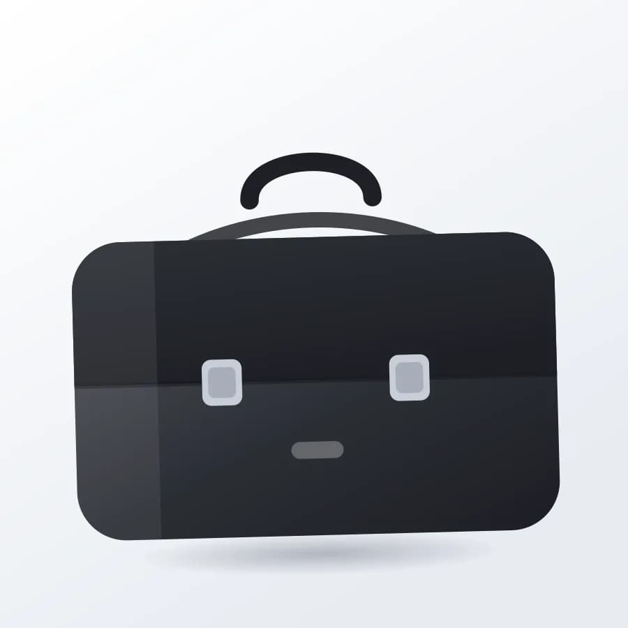 Document Portfolio Bag interior