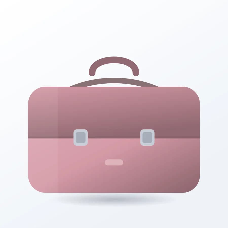 Ladies Laptop Bag